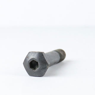 Replacement Skateboard Truck Kingpin and Nut 44mm Black Allen Head Floating