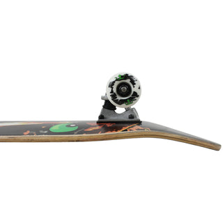 Krown Rookie Complete Bear 7.5"