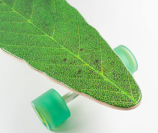 Habitat Skateboard Leafline Longboard Cruiser Complete 9.0" x 41"