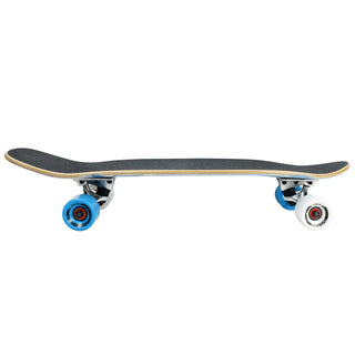 Paradise Cruiser Glacier 8" x 26.75"