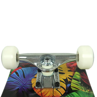 Push Skateboard Complete Toucan 8.0" Green Trucks close