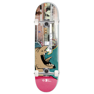 Push Skateboard Complete Andy Jenkins Guest BRF Teal 8.25"