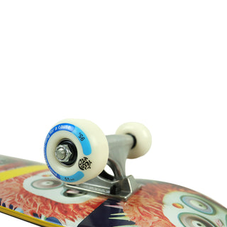 Push Skateboard Complete Frosty Red/Blue 6.5" Wheel Close Up