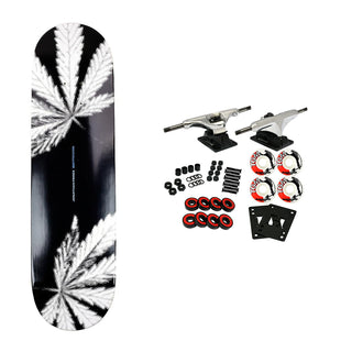 Maxallure Complete Perez Palm Leaf 8.125"