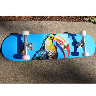Push Skateboard Complete Toucan Blue 8.0" x 31.6"