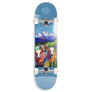 Push Skateboard Complete Nepal MLSL Light Blue 7.75"