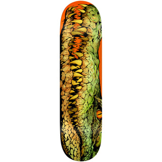 Real Premium Skateboard Complete Zion Swamp Puppy Heavyweight 8.28" Ft. Krux/Spitfire/Independent