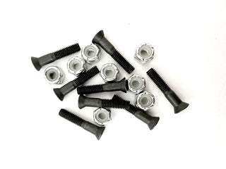 Slappy Skateboard Mounting Hardware 7/8" Phillips Bolts