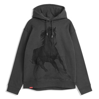 Jacuzzi Skateboards Hoody Horse Premium Charcoal