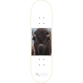 Zero Skateboard Deck Tommy Sandoval Buffalo 8.25" x 31.9"