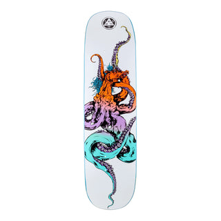 Welcome Skateboard Deck Seahorse 2 on Amulet White/Prism 8.125" x 31.75"