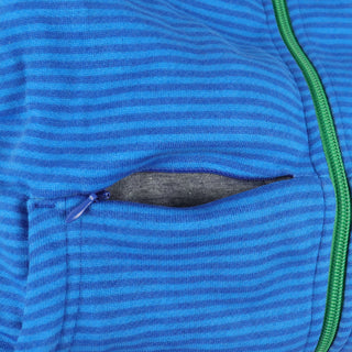 CCS Skateboard Hoodie Micro Stripe Stash Pocket Zip Royal/Sky/Green