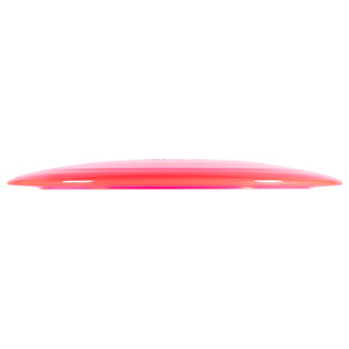 Innova Disc Assorted Champion Tern 151-159